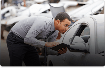 Field inspection agent