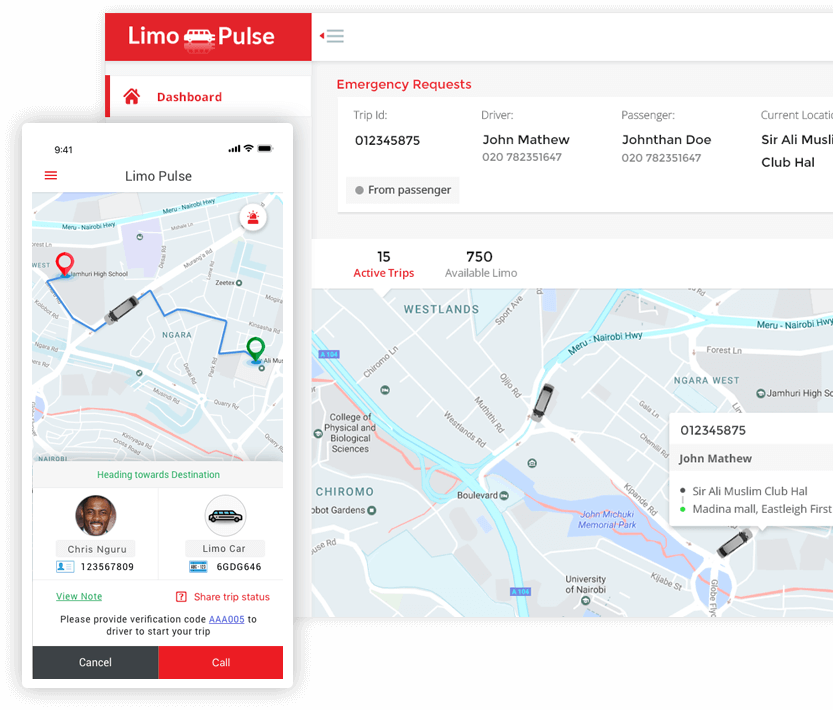 Limo-Pulse-Implimentation-Luanch